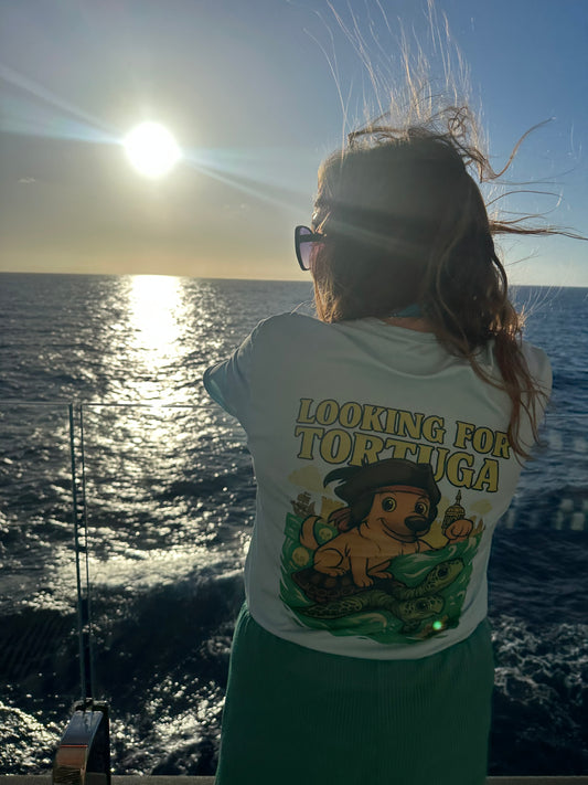 Looking For Tortuga